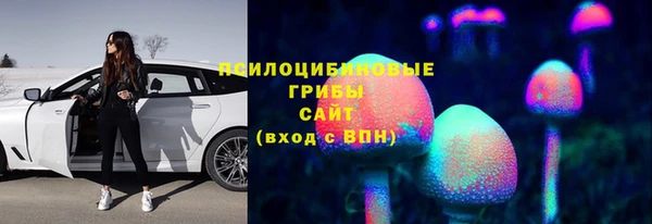 apvp Богородск