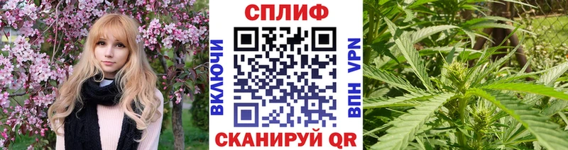 Марихуана AK-47  Купить закладки  Демидов 